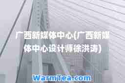 广西新媒体中心(广西新媒体中心设计师徐洪涛)