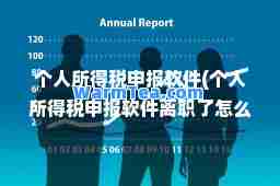 个人所得税申报软件(个人所得税申报软件离职了怎么还有)