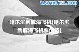 哈尔滨到威海飞机(哈尔滨到威海飞机票价格)