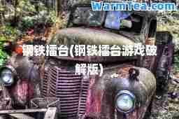 钢铁擂台(钢铁擂台游戏破解版)