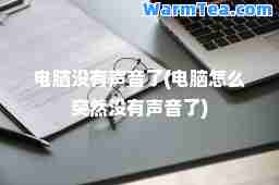 电脑没有声音了(电脑怎么突然没有声音了)