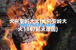 大兴安岭大火(大兴安岭大火1987起火原因)