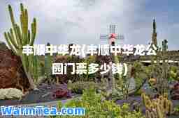 丰顺中华龙(丰顺中华龙公园门票多少钱)
