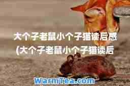 大个子老鼠小个子猫读后感(大个子老鼠小个子猫读后感手抄报)