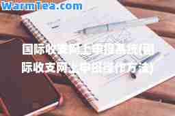 收支网上申报系统(收支网上申报操作方法)