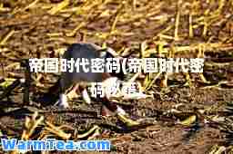 帝国时代密码(帝国时代密码秘籍)