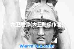 大卫雕像(大卫雕像作者)