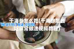 干海参怎么吃(干海参怎么吃家常做法视频教程)