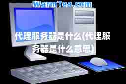 代理服务器是什么(代理服务器是什么意思)