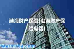渤海财产保险(渤海财产保险电话)