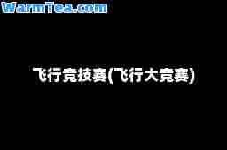 飞行竞技赛(飞行大竞赛)