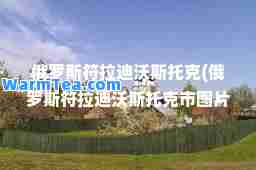 俄罗斯符拉迪沃斯托克(俄罗斯符拉迪沃斯托克市图片)