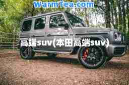 高端suv(本田高端suv)