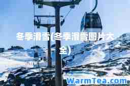 冬季滑雪(冬季滑雪图片大全)