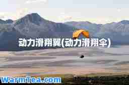 动力滑翔翼(动力滑翔伞)