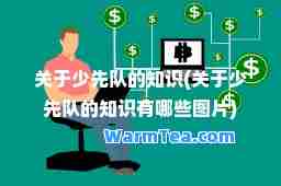 关于少先队的知识(关于少先队的知识有哪些图片)