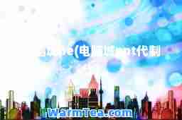 电脑城pe(电脑城ppt代制作)