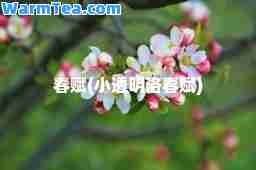 春赋(小透明洛春赋)