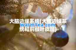 大脑边缘系统(大脑边缘系统和前额叶皮层)