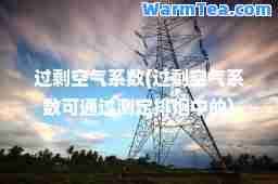 过剩空气系数(过剩空气系数可通过测定排烟中的)