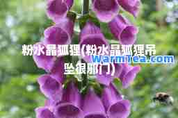 粉水晶狐狸(粉水晶狐狸吊坠很邪门)