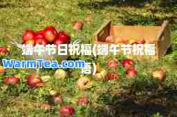端午节日祝福(端午节祝福语)