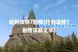 哈利波特7剧情(哈利波特7剧情详解文字)
