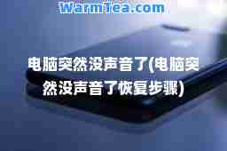 电脑突然没声音了(电脑突然没声音了恢复步骤)