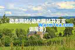 动态网站(动态网站开发实训报告)