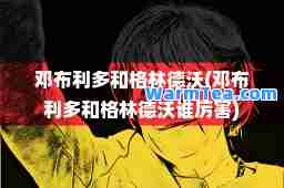 邓布利多和格林德沃(邓布利多和格林德沃谁厉害)