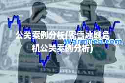 公关案例分析(蜜雪冰城危机公关案例分析)