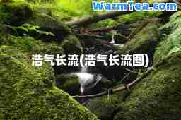 浩气长流(浩气长流图)