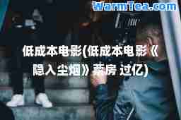 低成本电影(低成本电影《隐入尘烟》票房 过亿)