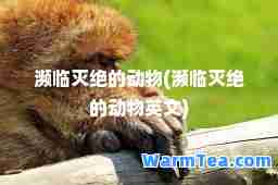 濒临灭绝的动物(濒临灭绝的动物英文)