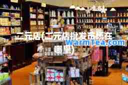 二元店(二元店批发市场在哪里)