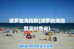 波罗地海指数(波罗的海指数实时查询)
