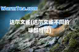 达尔文雀(达尔文雀不同的喙部特征)