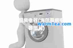 海尔厨房电器(海尔厨房电器图片)