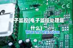 电子监控(电子监控处理是什么)