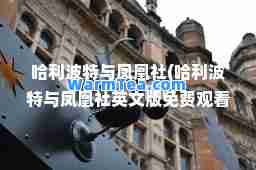哈利波特与凤凰社(哈利波特与凤凰社英文版免费观看)