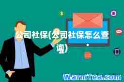公司社保(公司社保怎么查询)