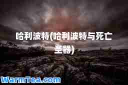 哈利波特(哈利波特与死亡圣器)