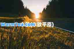 东欧(东欧平原)