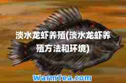 淡水龙虾养殖(淡水龙虾养殖方法和环境)