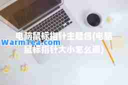 电脑鼠标指针主题包(电脑鼠标指针大小怎么调)