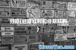 归原(归原红利和终期红利)