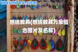 感统教具(感统教具万象组图片及名称)