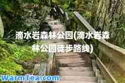 滴水岩森林公园(滴水岩森林公园徒步路线)