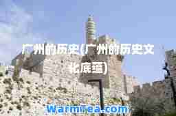 广州的历史(广州的历史文化底蕴)