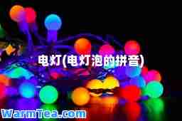 电灯(电灯泡的拼音)